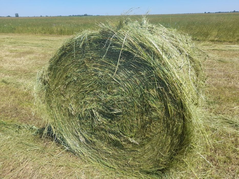 Продам СЕНО Луговое