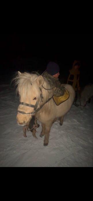 Продам все писать на ватсап