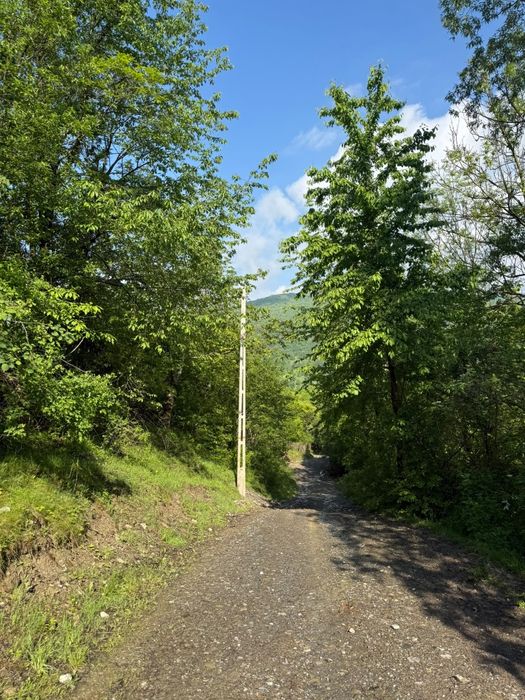 Teren intravilan Valea Doftanei