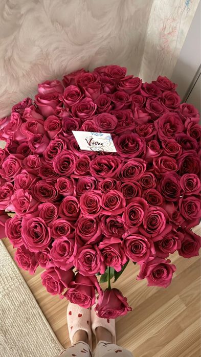 Цветы розовый роза