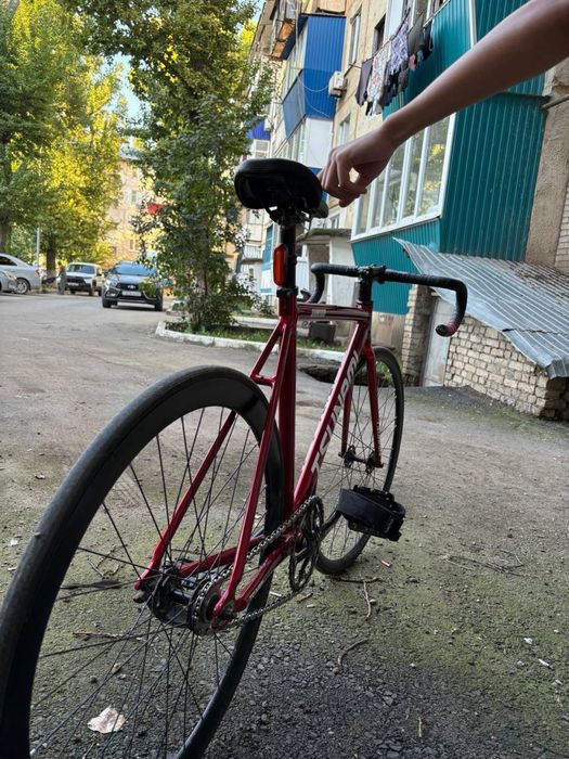 Fixsed gear/ фикс