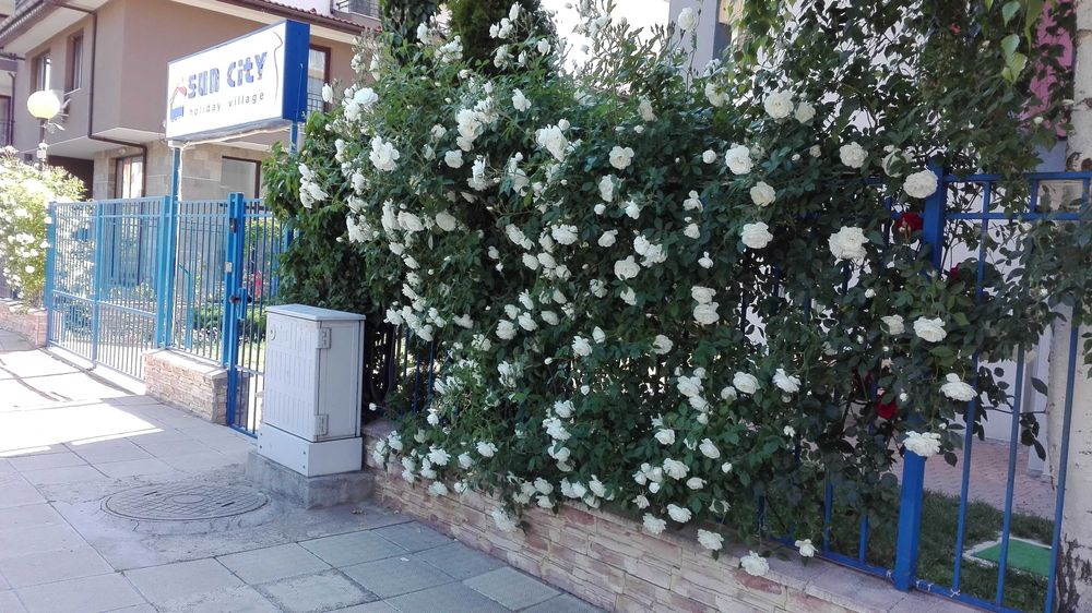 От собственика, голям с една спалня, Какао Бийч