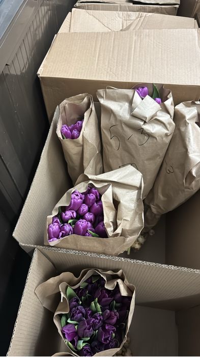 Тюльпаны 380тг от 100шт