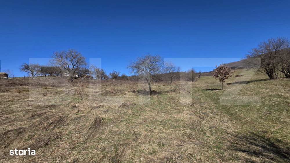 Teren de vanzare de 8,567MP in zona: Tarpiului