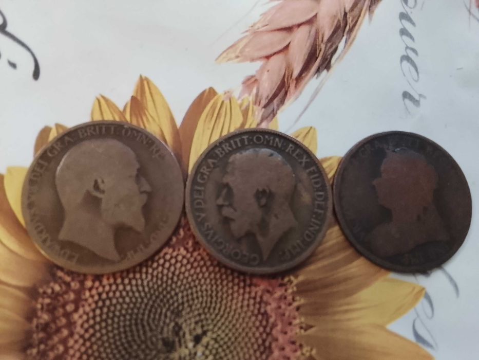 Монети и Банкноти