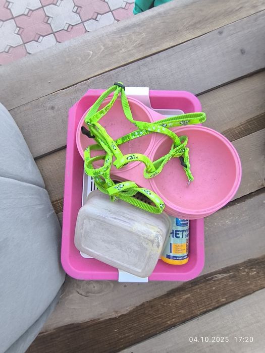 Животные , лоток ножницы