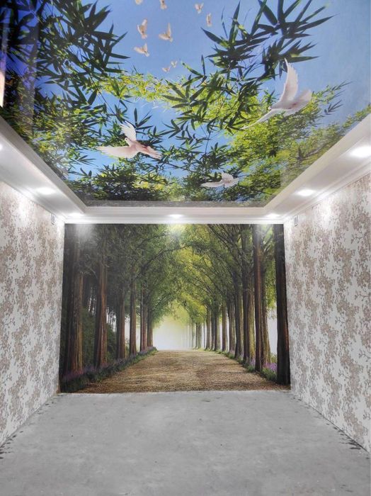 Натежной потолок | Натяжной потолок