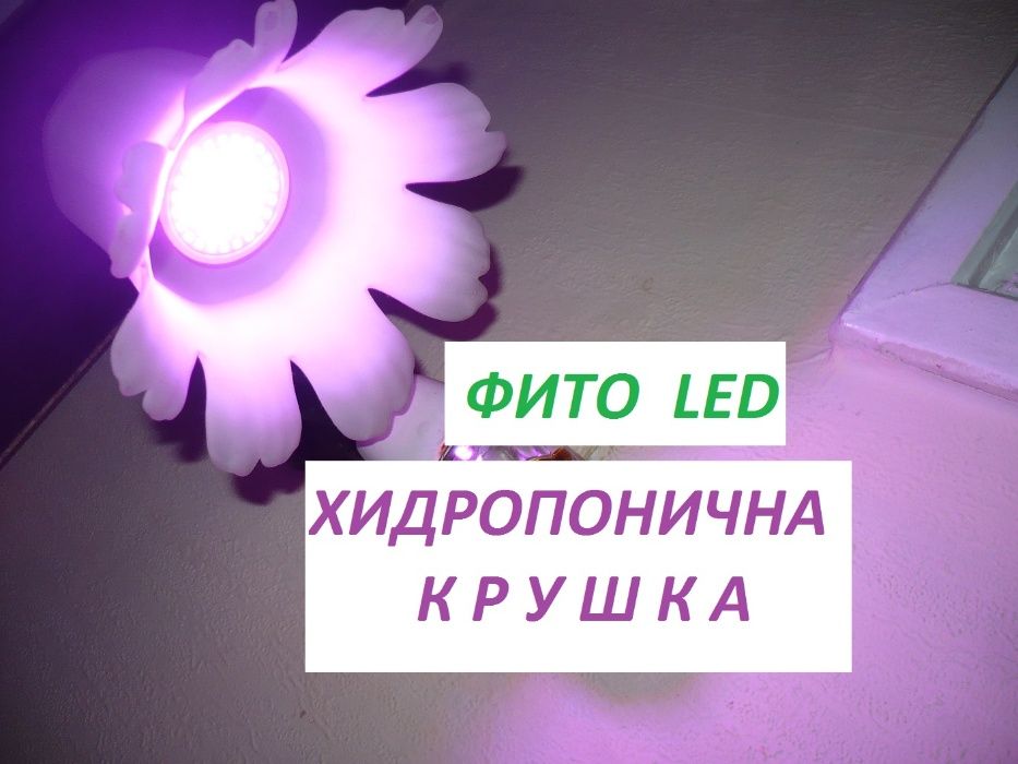 Фито , глина и  LED лампа +сензор за движение