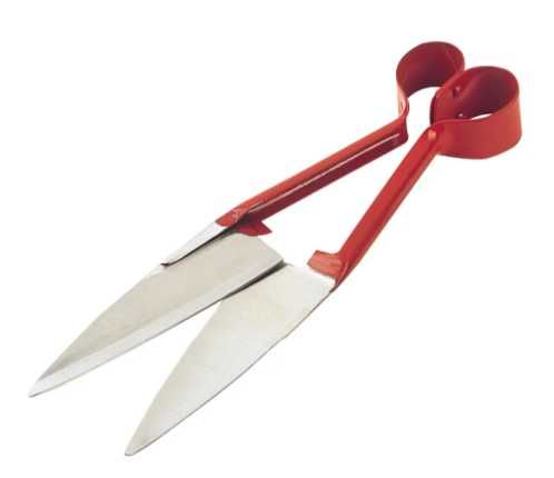 Foarfecă tuns oi roșie 34 cm - Oțel forjat monobloc, Lamă dreaptă