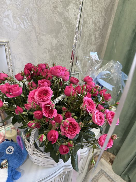 Продам цветы уральск