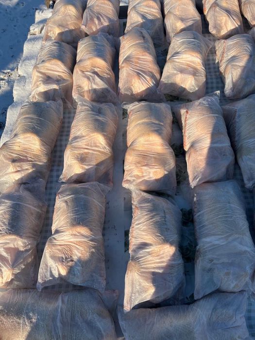 Продаи гусей оптом