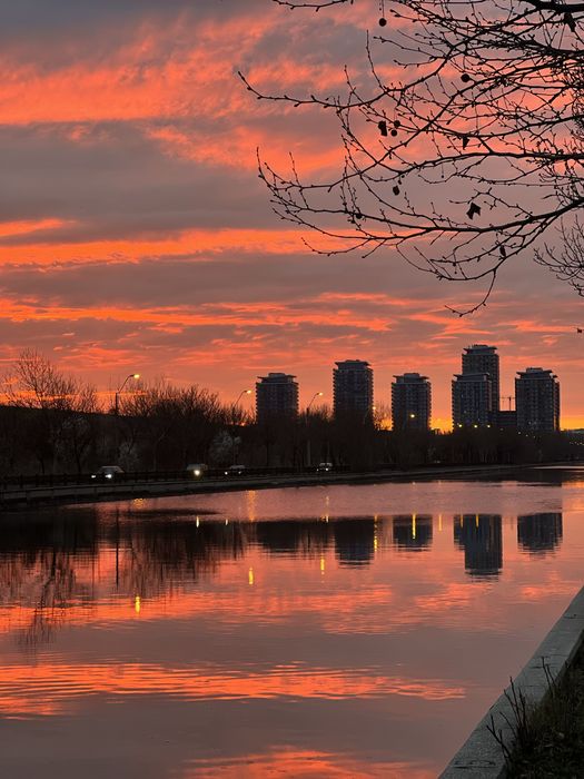 Proprietar Apartament Asmita Gardens Tineretului Timpuri Noi