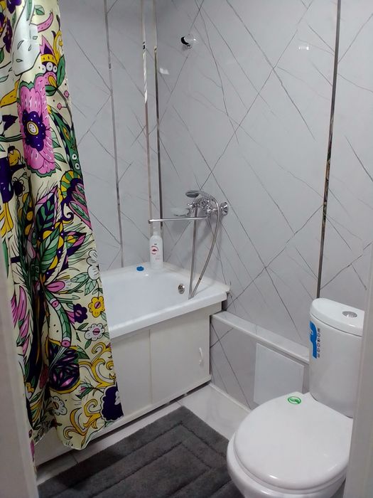 По суточно 2х ком колос