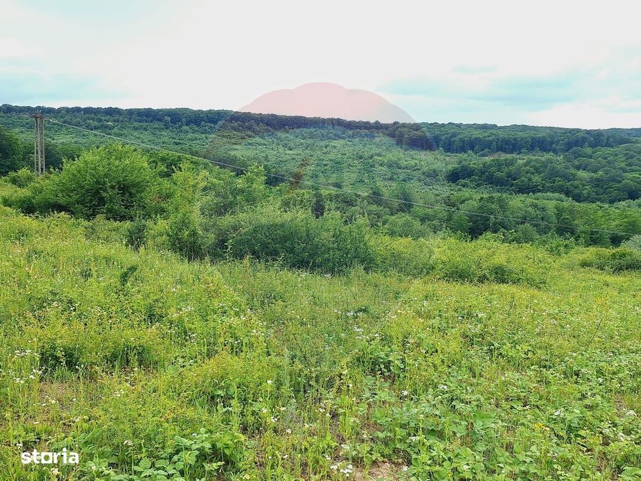Teren 5,755mp Hidiselu de Sus / DN PRINCIPALA