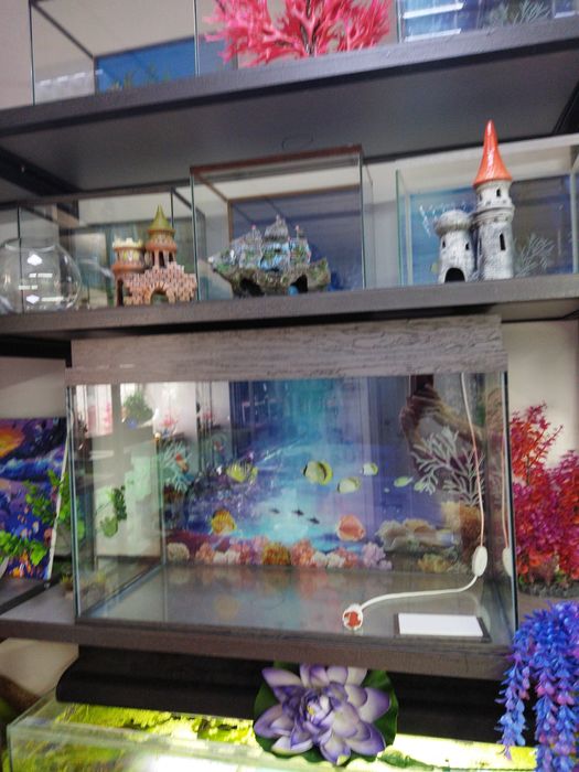 Аквариум 100л.Навои Торайгырова