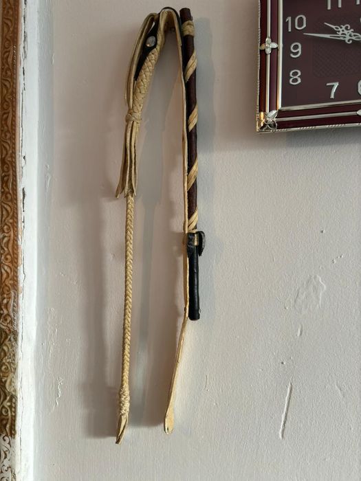 Қамшы 8 өрім | Плеть