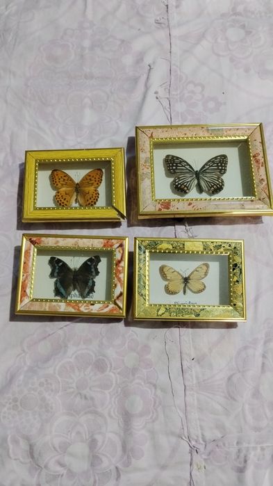 Бабочки картина.