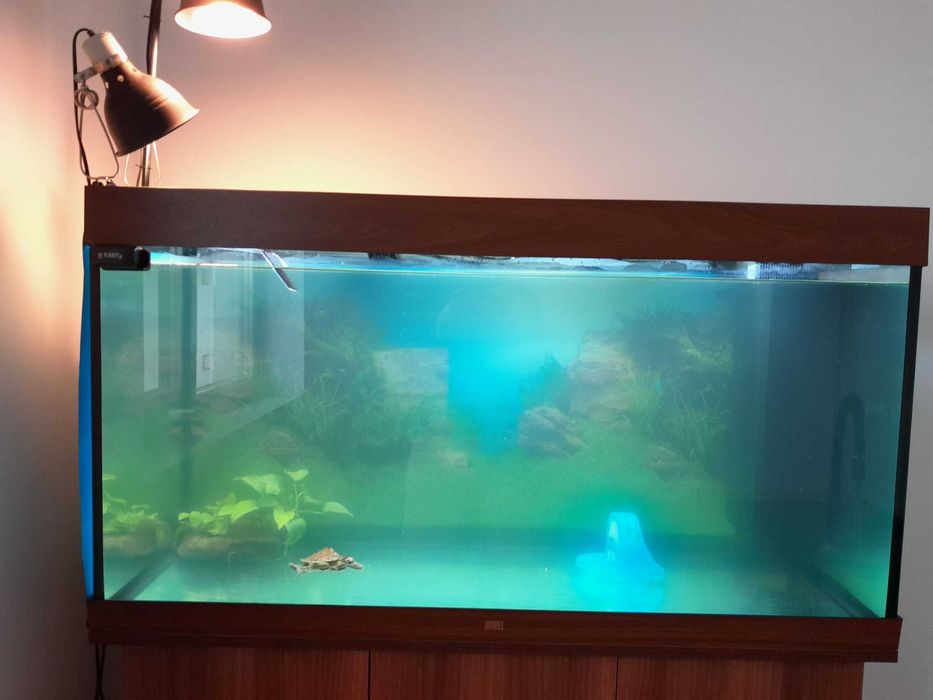 Acvariu 350L + dulap de baza, Set complet pt. pesti sau testoasa.