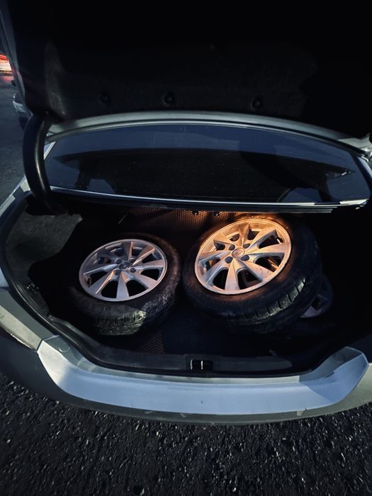 сильверы титанка