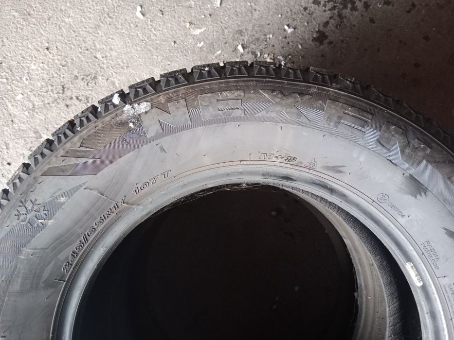 Шины зимние nexen