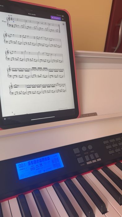 Meditații pian copii începători – Bistrița