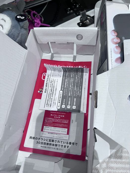 Nintendo switch lite