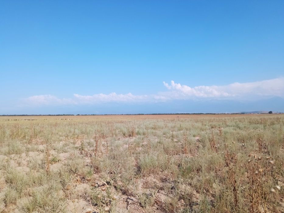 Продам 4га земли в поселке Исаево