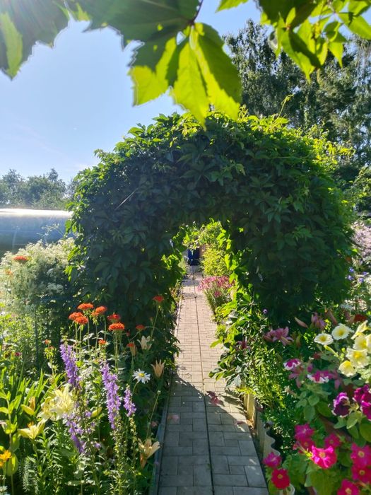 Продам дачу общесво»Эврика»