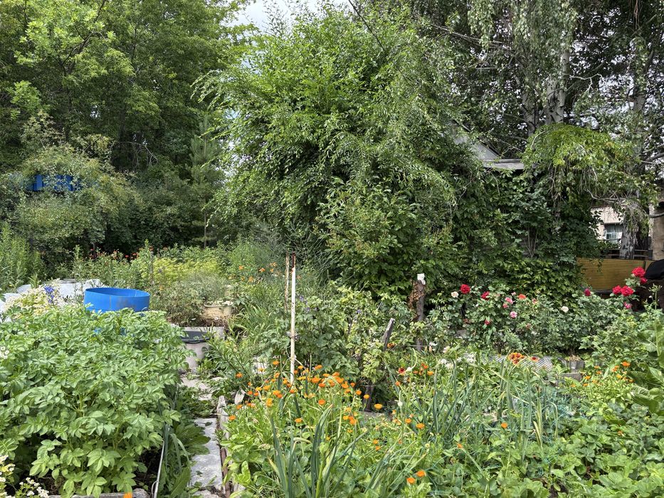 Дача в обществе «Мичуринец»