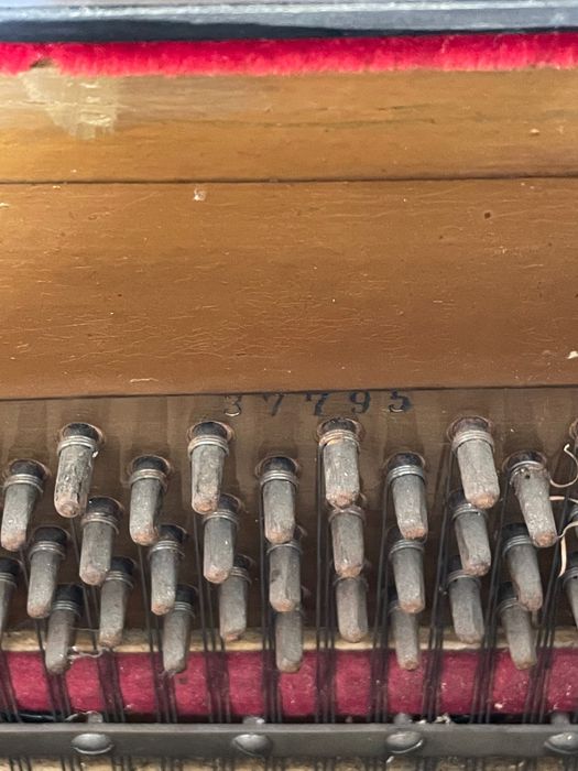 Pianine  stare foarte buna , trebuiesc acordate