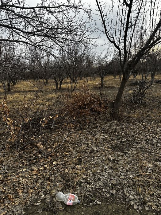 10 йиллик чорбоғ ижарага берилади