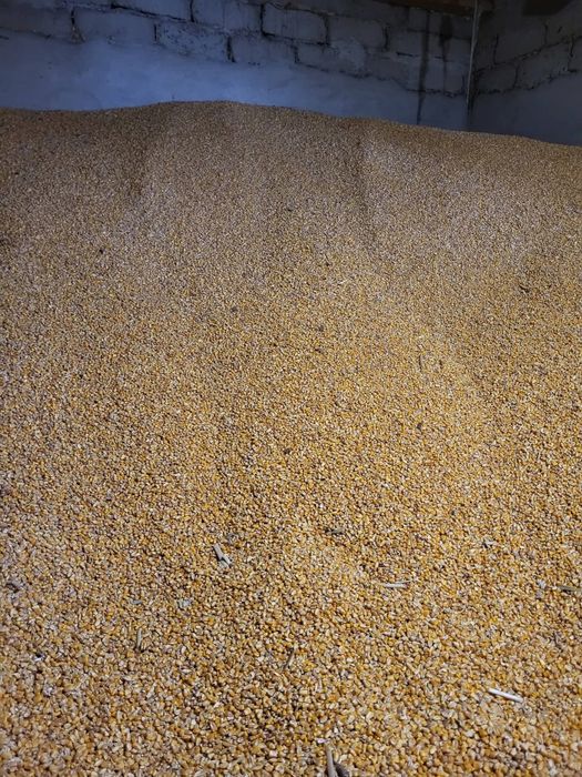 Boabe , grau , tarate , uroaie , mazare ,srot soi, srot floare