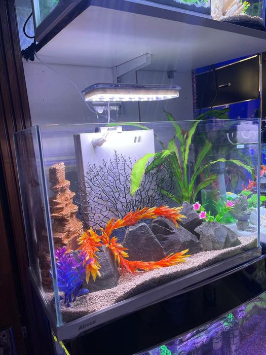 Akvarium Xitoy New 30 Litr