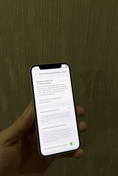 iPhone 12 Mini 128/73%