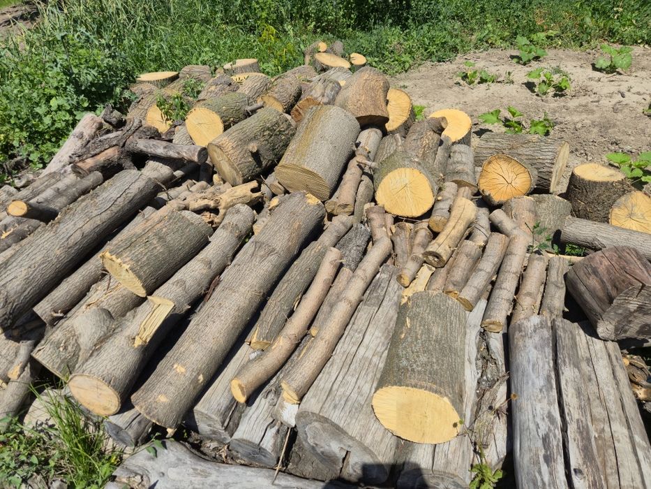 Продам дрова  сухие