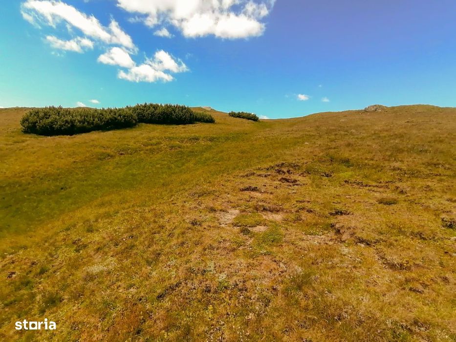 Intravilan ZDD Parc Bucegi 300m² - 600 m² - 1866 m² variante rate/cash
