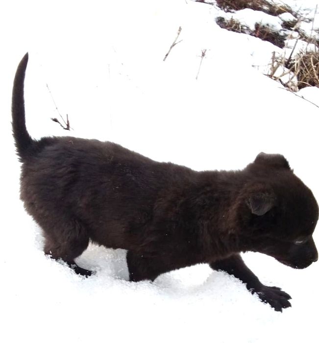 Помогите пожалуйста дом найти