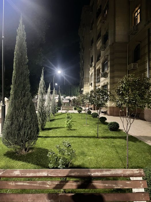 Арчалар доктори СКИДКА