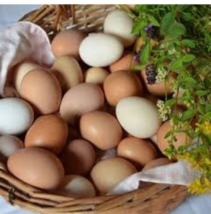 Яйца от домашних кур