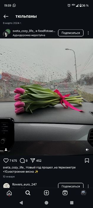 Свежие тюльпаны на 8 марта