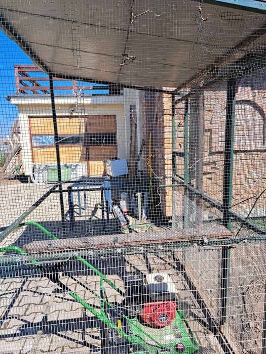 Voliera pasari, porumbei, etc