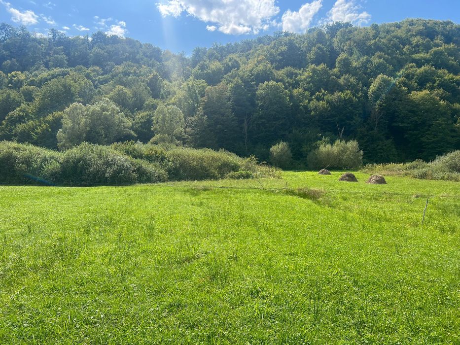 Teren de vanzare exatravilan