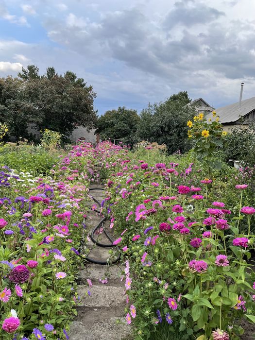 Дом благоустроенный