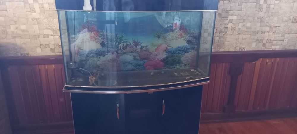 Аквариум 250литр
