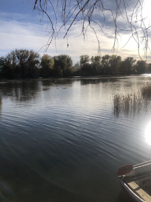 Продам зарыбленное озеро