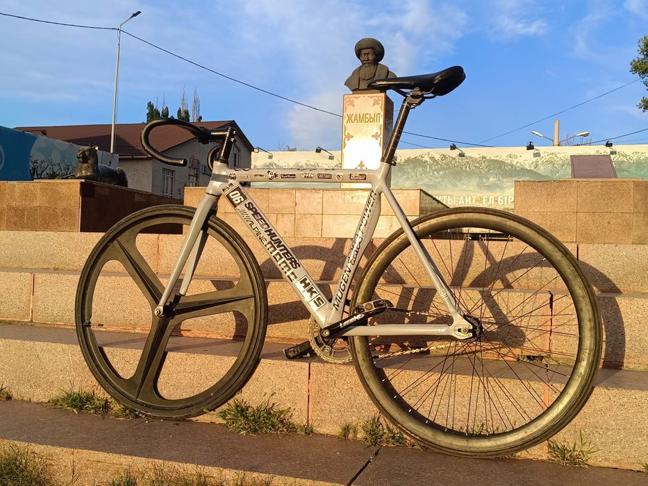 Фикс Gray f 10 вело