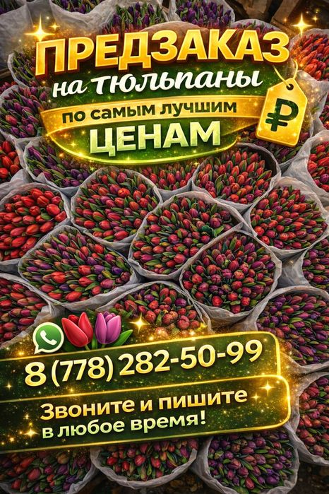 Тюльпаны цветы .