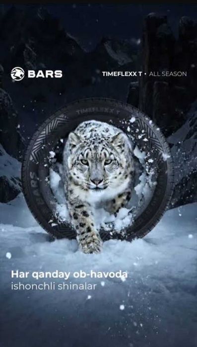 195/65 R15 Bars TIMEFLEXX.