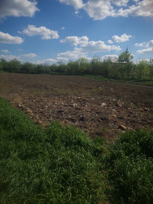 Casa de vanzare in fiscut