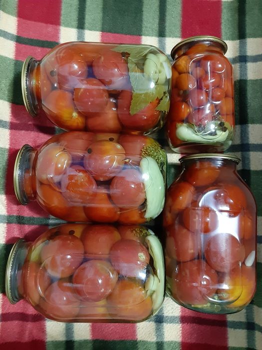 Помидоры маринованные